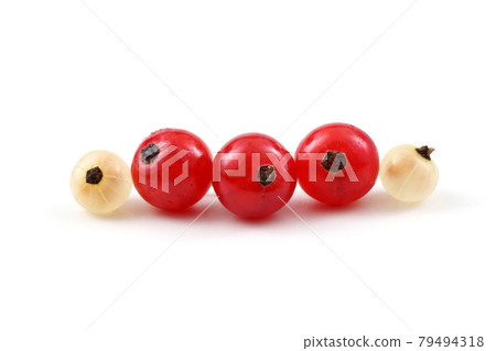 Red and white currant 79494318
