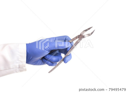 Doctor dentist holds in his hand forceps to pull out teeth on a white background, isolate. Dentistry tooth extraction concept Doctor dentist holds in his hand forceps to pull out teeth on a white background, isolate. Dentistry tooth extraction concept 79495479