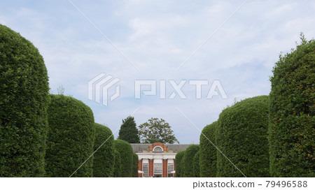 Kensington Gardens in Summer Kensington Gardens in Summer 79496588