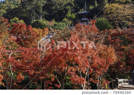 Kyoto Eikando Tahoto and Autumn Leaves Kyoto Eikando Tahoto and Autumn Leaves 79498160