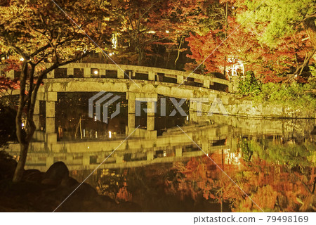 Kyoto Eikando Kinunbashi and Autumn Leaves Illuminated Kyoto Eikando Kinunbashi and Autumn Leaves Illuminated 79498169