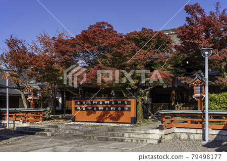 京都車崎神社海傳和紅葉 京都車崎神社海傳和紅葉 79498177