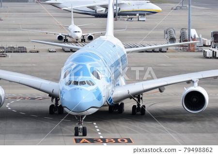 Airbus A380 (ANA FLYING HONU) Airbus A380 (ANA FLYING HONU) 79498862