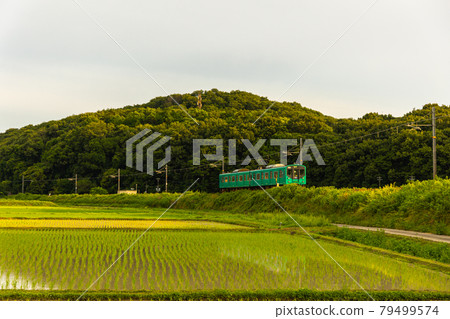 Countryside local line Countryside local line 79499574