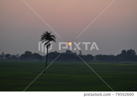 Indian countryside evening view 79502600