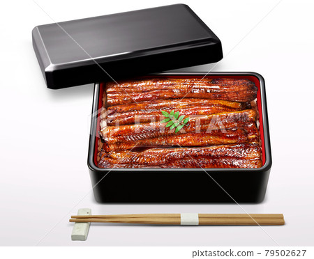 鰻魚插圖真正的鰻魚重鰻魚在白色背景上設置 鰻魚插圖真正的鰻魚重鰻魚在白色背景上設置 79502627