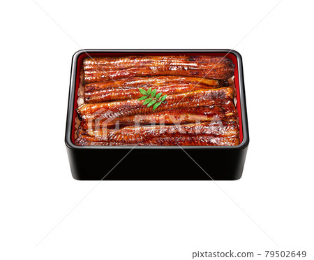 Eel Illustration Real Eel Heavy Unagi Single Transparent 79502649