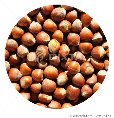 Fresh organic hazelnuts filbert, shelled nut grains texture Fresh organic hazelnuts filbert, shelled nut grains texture 79504164