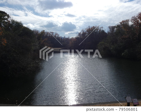 The sky and Muroike garden reflected on the surface of the water extending to the back The sky and Muroike garden reflected on the surface of the water extending to the back 79506801