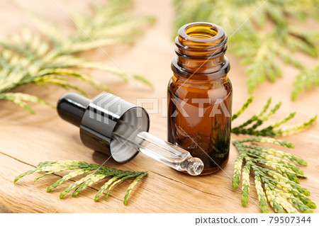 Cypress essential oil on still life. Herbal remedies 79507344