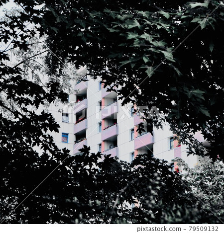 Residential building in between tree leaves Residential building in between tree leaves 79509132
