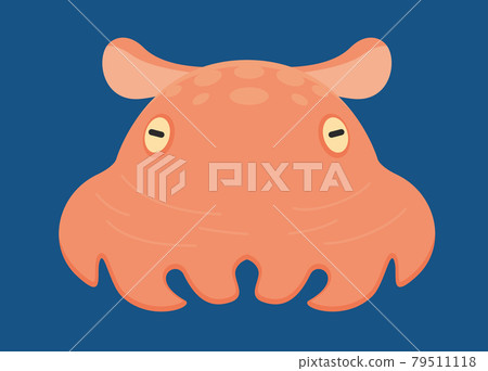Opisthoteuthis depressa / deep sea Opisthoteuthis depressa / deep sea 79511118
