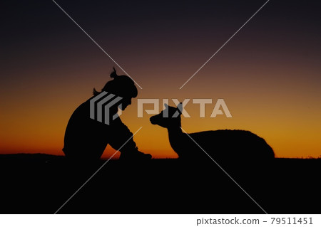 Mt. Wakakusa at sunset 79511451