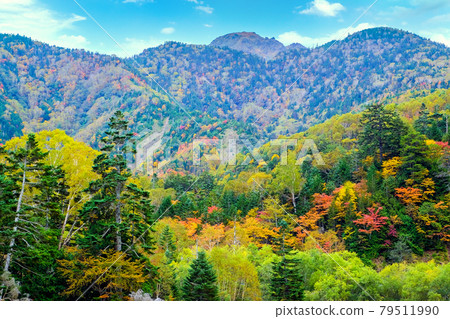 Autumn sunlight Shirane mountain Autumn sunlight Shirane mountain 79511990