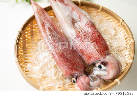 魷魚之王新鮮霓虹飛魷魚 79512582