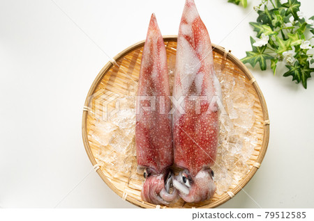 魷魚之王新鮮霓虹飛魷魚 79512585