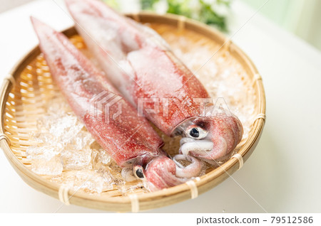 King of squid fresh neon flying squid 79512586