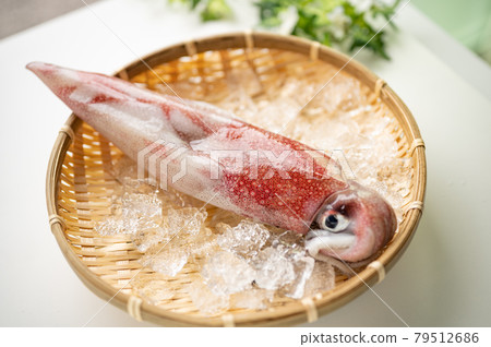 魷魚之王新鮮霓虹飛魷魚 魷魚之王新鮮霓虹飛魷魚 79512686
