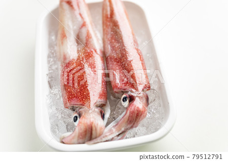 King of squid fresh neon flying squid King of squid fresh neon flying squid 79512791