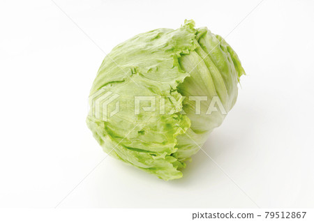 lettuce lettuce 79512867