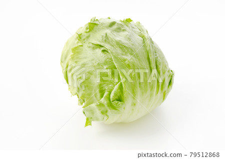lettuce lettuce 79512868