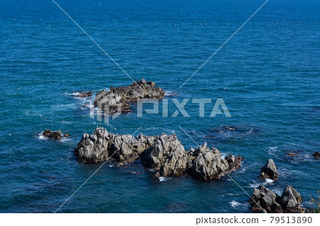 Seagulls At Cape Tachimachi Stock Photo