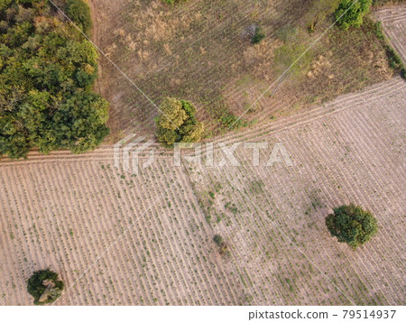 Agricultural land during cultivation season, aerial photograph of drones 79514937