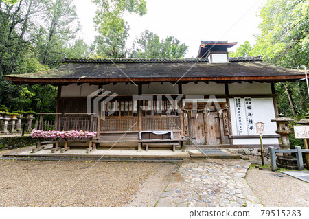 [奈良縣]春日大社神奈良公園 79515283