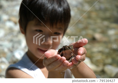 兒童和青蛙蟾蜍 兒童和青蛙蟾蜍 79516427