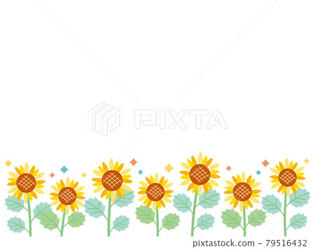 Glittering sunflower field that can be used for summer greetings and backgrounds 02 79516432