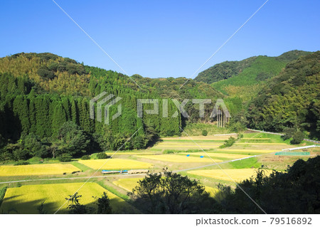 Mountain landscape 79516892