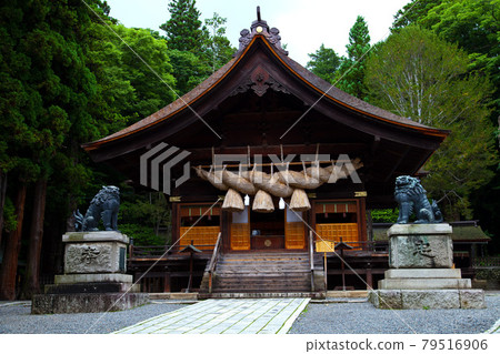 Suwa Taisha Shimosha Akimiya Early Summer Suwa Taisha Shimosha Akimiya Early Summer 79516906