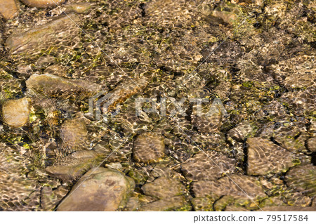 Rippling water over the pebbles 79517584