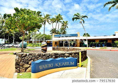 Holidays in Hawaii Holidays in Hawaii 79517630