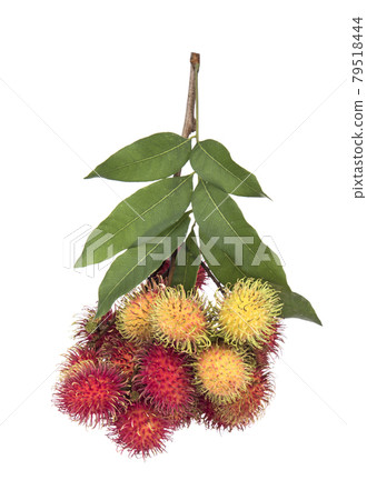 Rambutan isolated on white background Rambutan isolated on white background 79518444