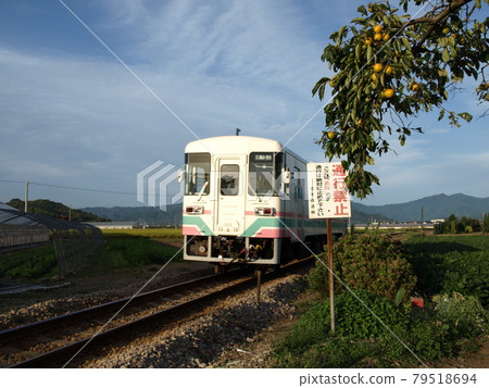 Amagi Railway Persimmon Amagi Railway Persimmon 79518694