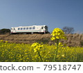 Amagi Railway Rape blossoms 79518747