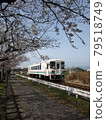 Amagi Railway Sakura 79518749