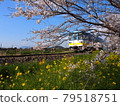 Amagi Railway Sakura 79518751