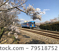 Amagi Railway Sakura 79518752