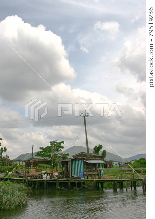 a wood pier at Shan Pui Tsuen river , hk a wood pier at Shan Pui Tsuen river , hk 79519236
