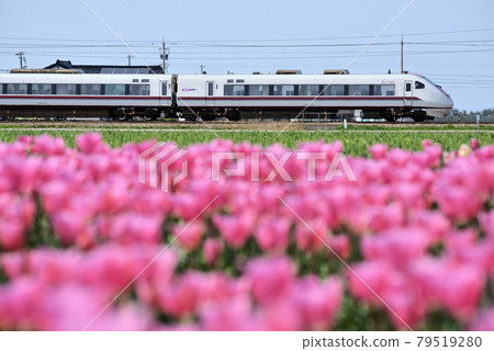 681 series limited express "Hakutaka" Nishi-Nyuzen-Nyuzen 681 series limited express "Hakutaka" Nishi-Nyuzen-Nyuzen 79519280