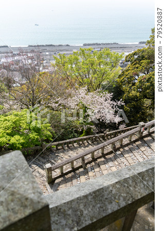 [靜岡縣] 久野山東照宮 79520887