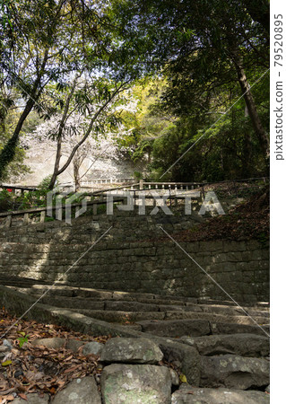 [Shizuoka Prefecture] Kunozan Toshogu Shrine 79520895
