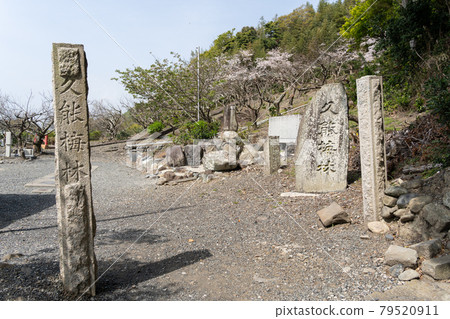 [靜岡縣] 久野山東照宮 79520911