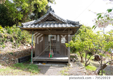 [Shizuoka Prefecture] Kunozan Toshogu Shrine 79520919