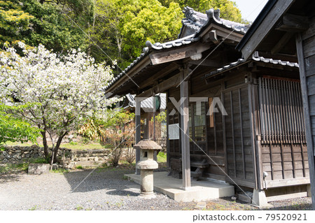 [靜岡縣] 久野山東照宮 79520921