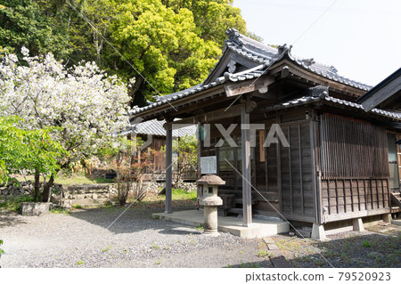 [Shizuoka Prefecture] Kunozan Toshogu Shrine 79520923