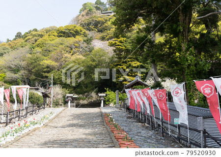[靜岡縣] 久野山東照宮 79520930