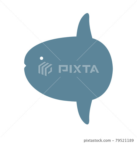 Sunfish 79521189